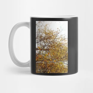 Stop and Stare Mug